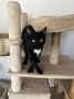 Oskar_Frieda (1)